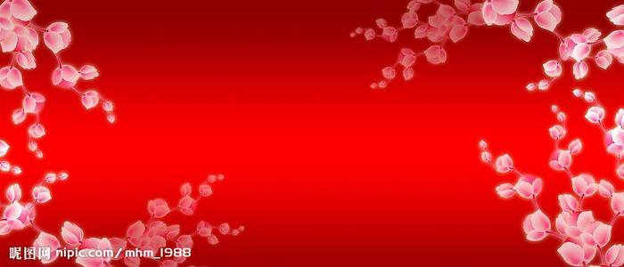 定制高仿本科档案